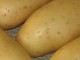 Pommes de terre en robe des champs Pommes de terre en robe des champs